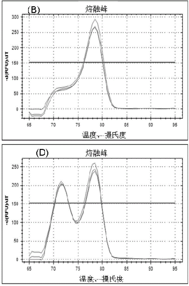 Method for detecting non-coding RNA transcription level based on hybridization connection method