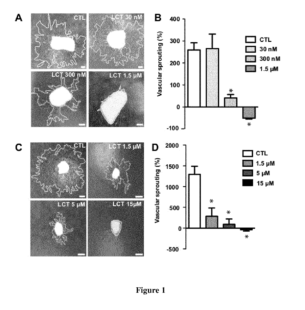 Lebecetin, a c-type lectin, as neovascularization inhibitor