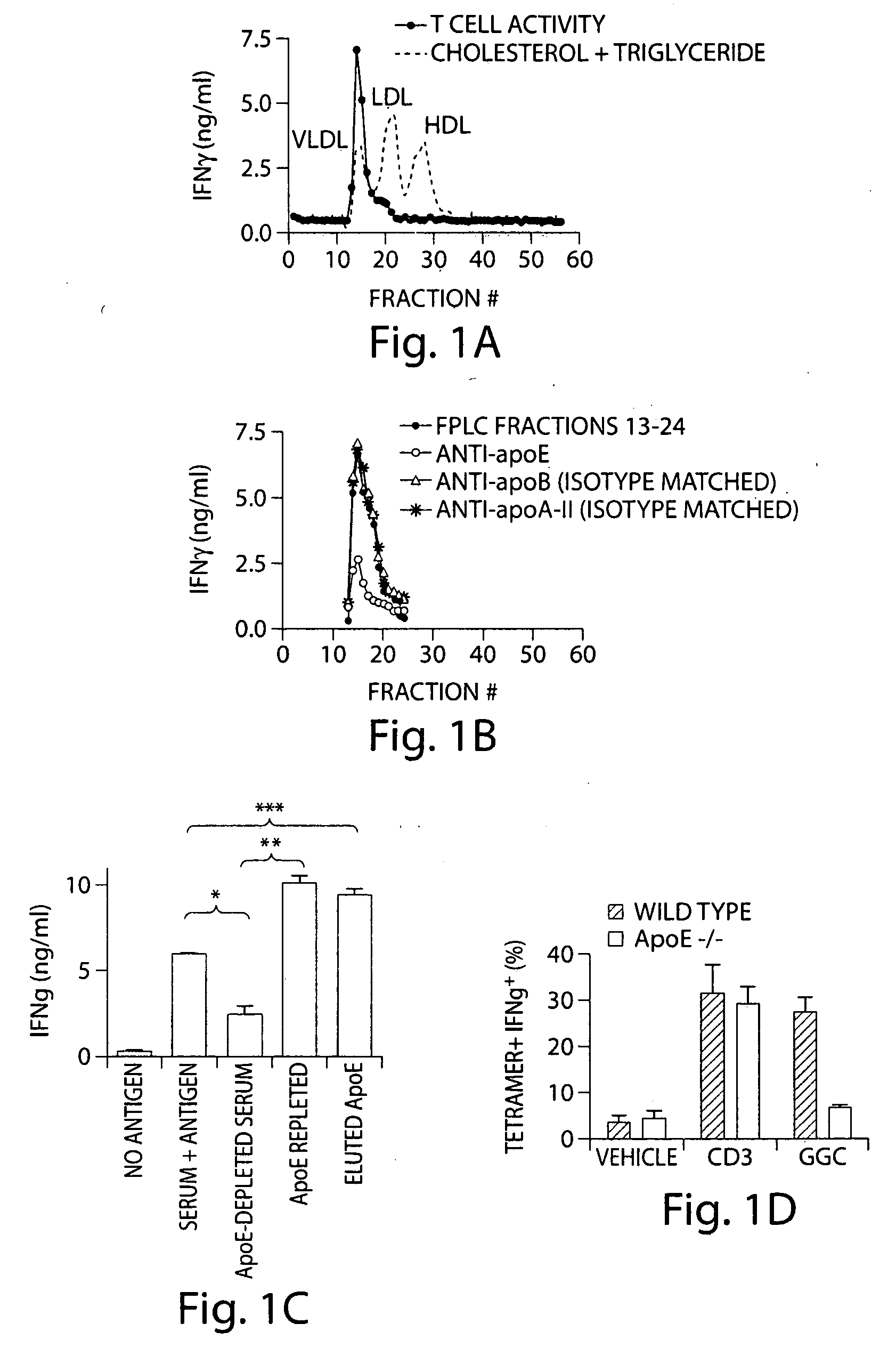 Apolipoprotein E as an adjuvant for lipid antigens