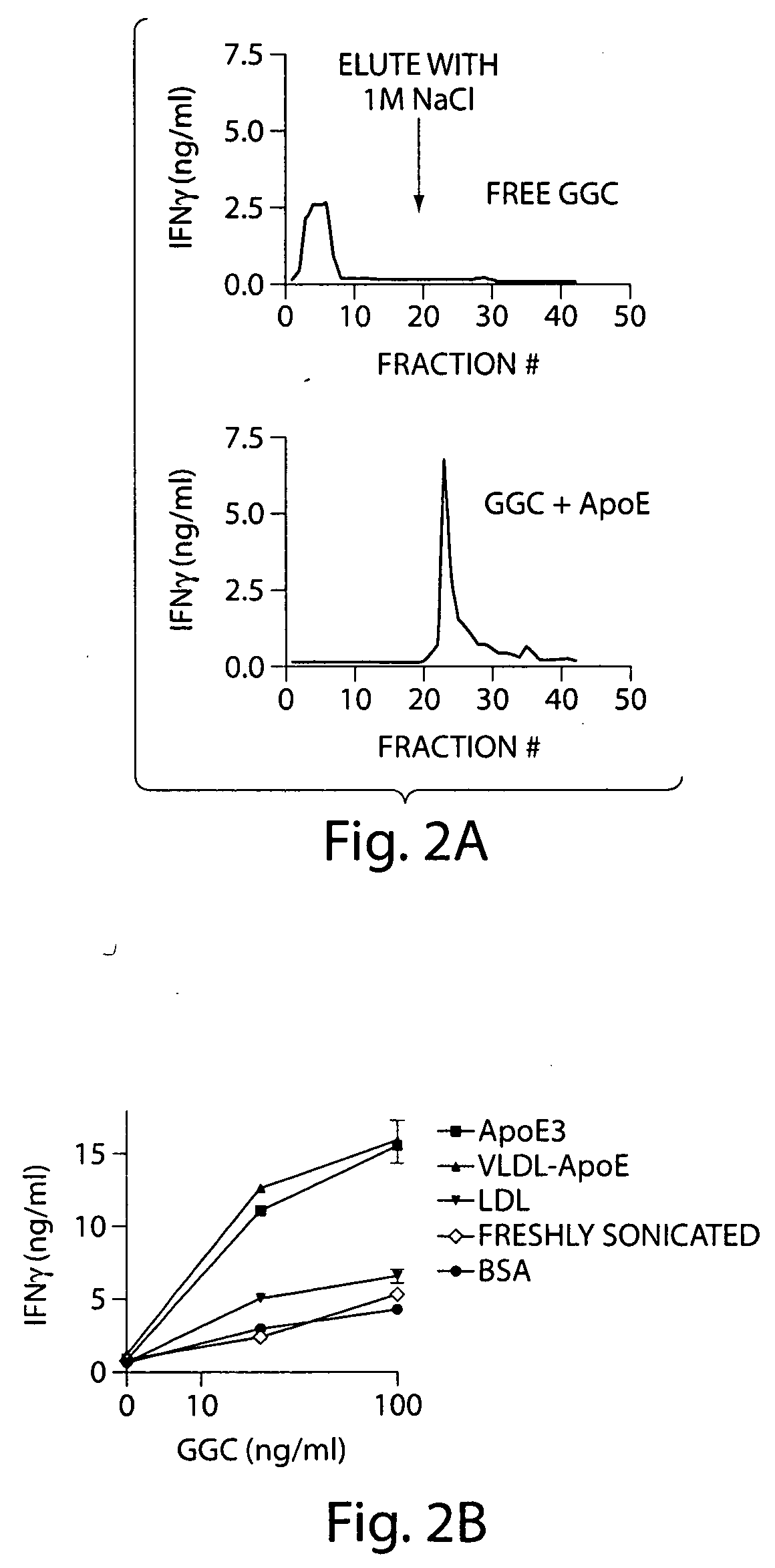 Apolipoprotein E as an adjuvant for lipid antigens