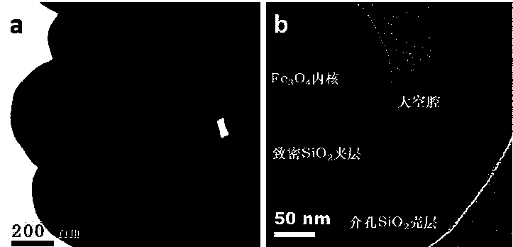 Magnetic mesoporous silica composite microsphere with Yolk-Shell structure and manufacturing method thereof