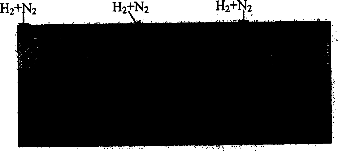 Low temperature annealing process for relieving MOCVD TiN membrane stress and resistance