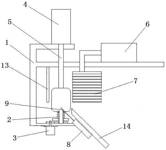 Pedicel removing and slicing machine for kiwifruit