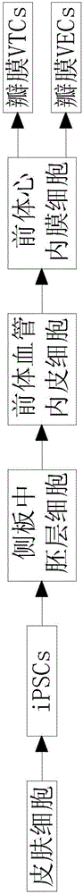 Method for manufacturing aortic intervention valve