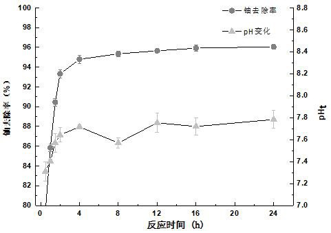 Method for removing fixed uranium by utilizing denitrification and phosphorus accumulation effects of microorganisms