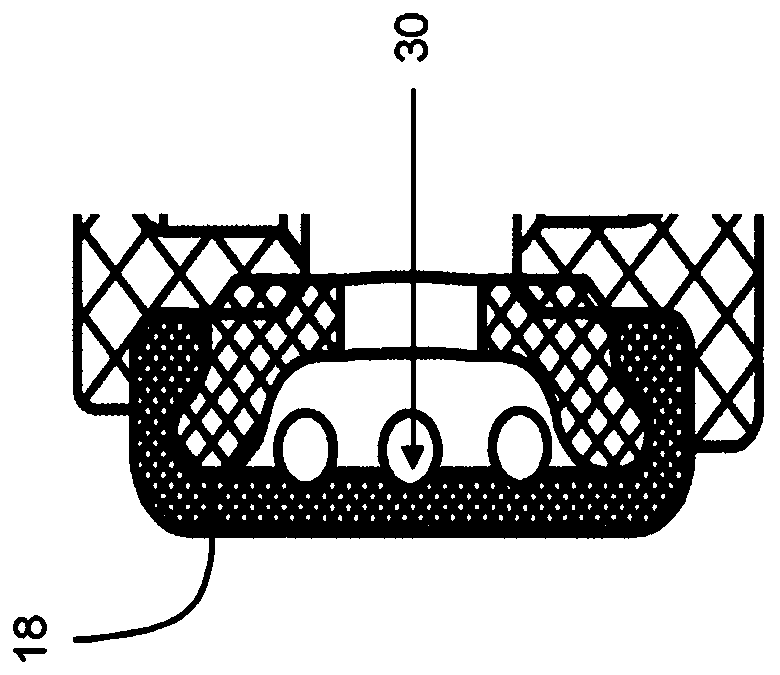 Capsule for a compass and use thereof