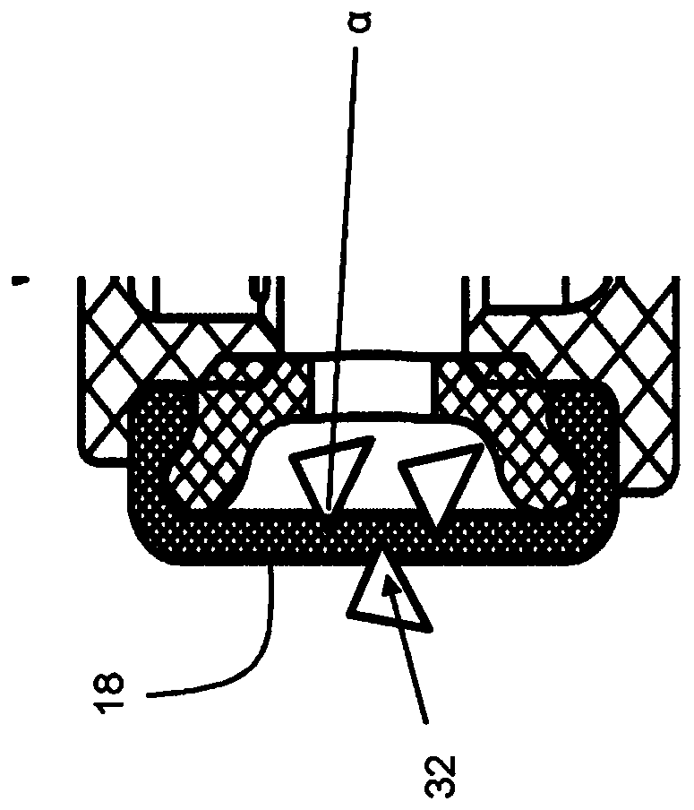 Capsule for a compass and use thereof