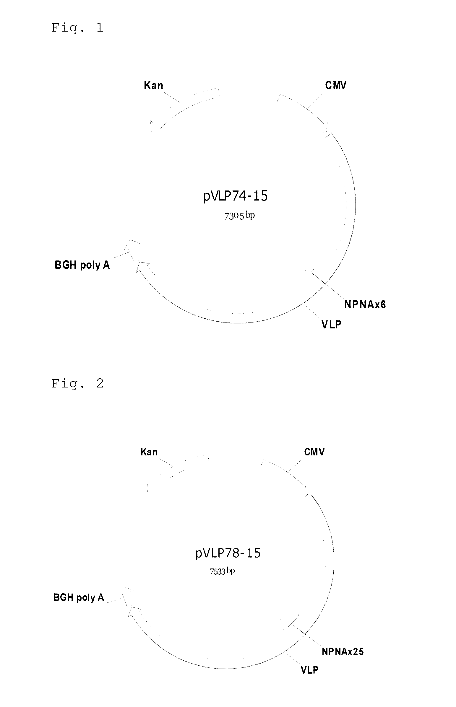 Malaria vaccine