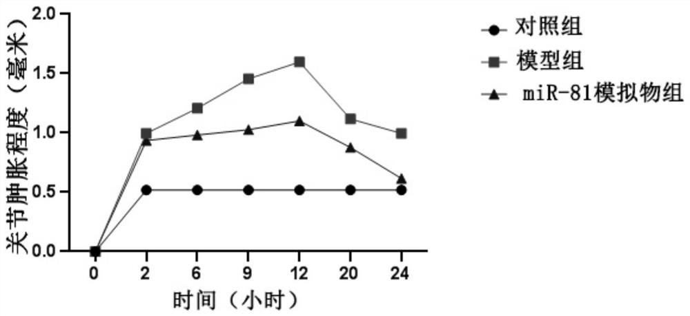 MiR-81 as well as mimics and application thereof