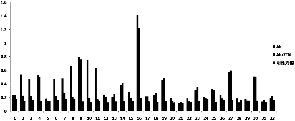 Anti-idiotypic nano antibody based zearalenone green immunoassay method