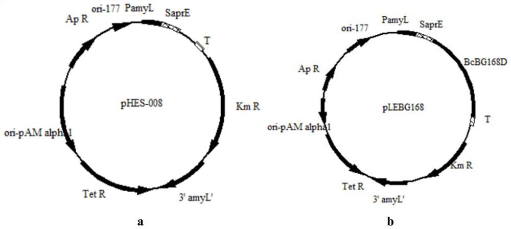 Special enzyme for galactooligosaccharide production as well as preparation and application thereof