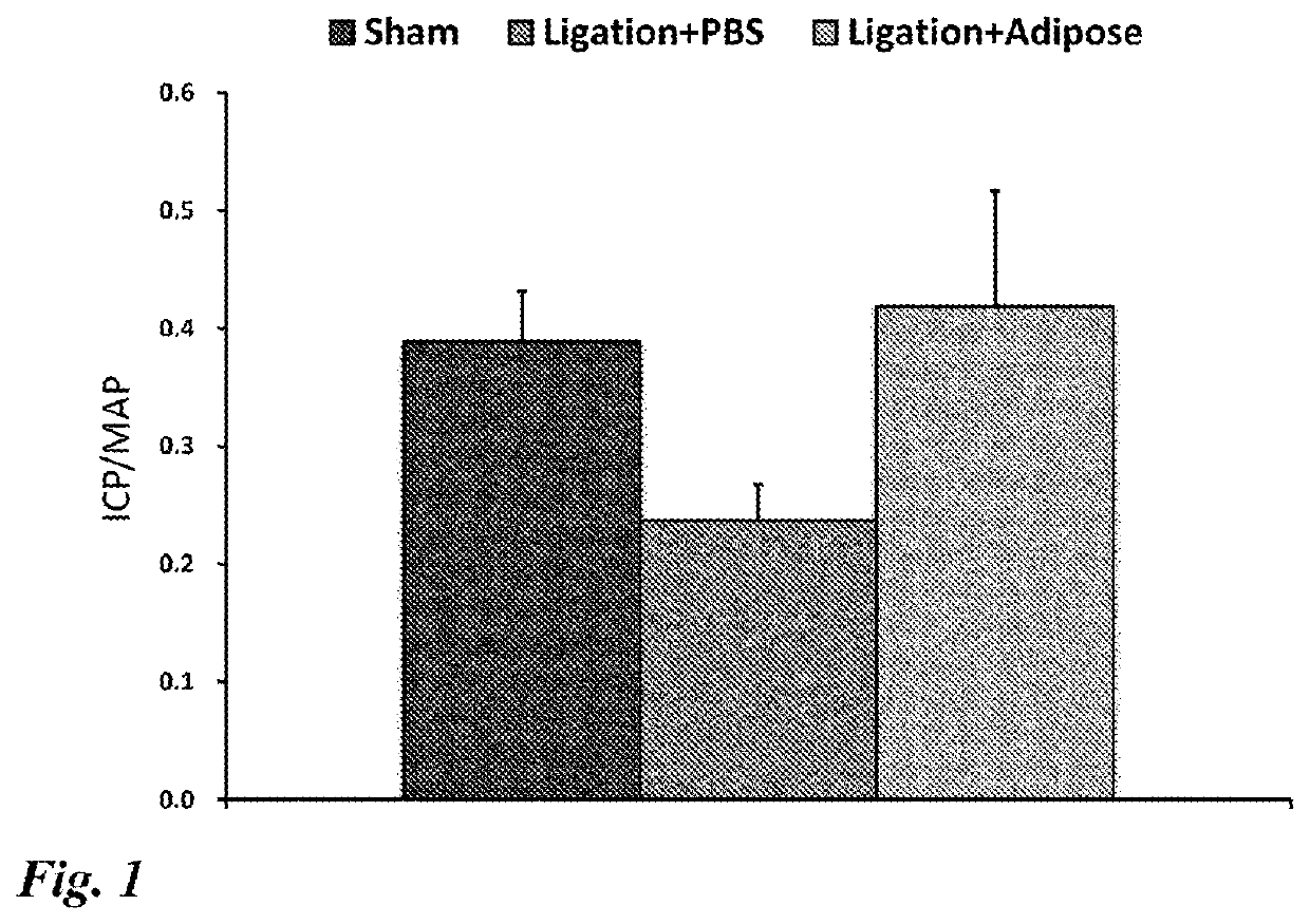 Erectile dysfunction therapeutic agent