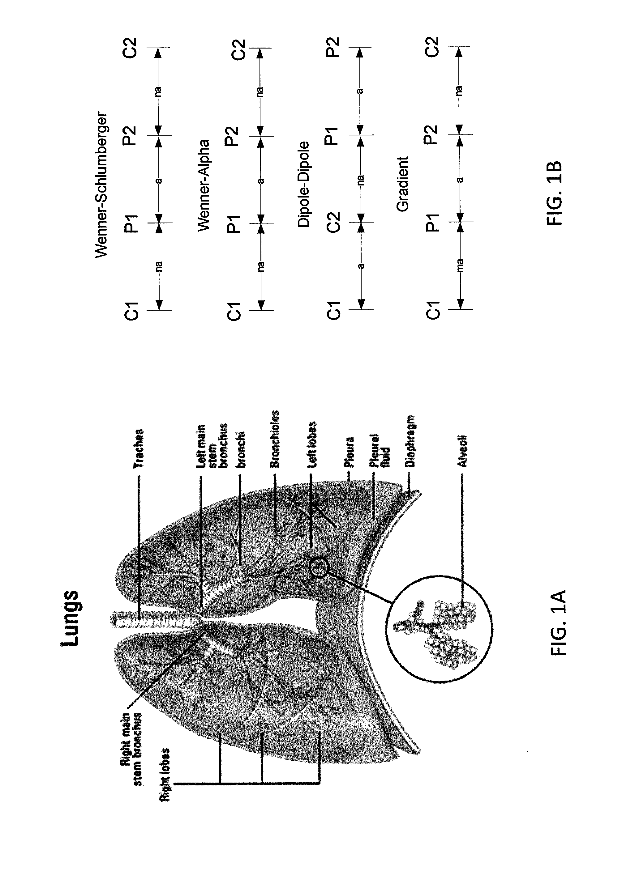 Devices for determining the relative spatial change in subsurface resistivities across frequencies in tissue