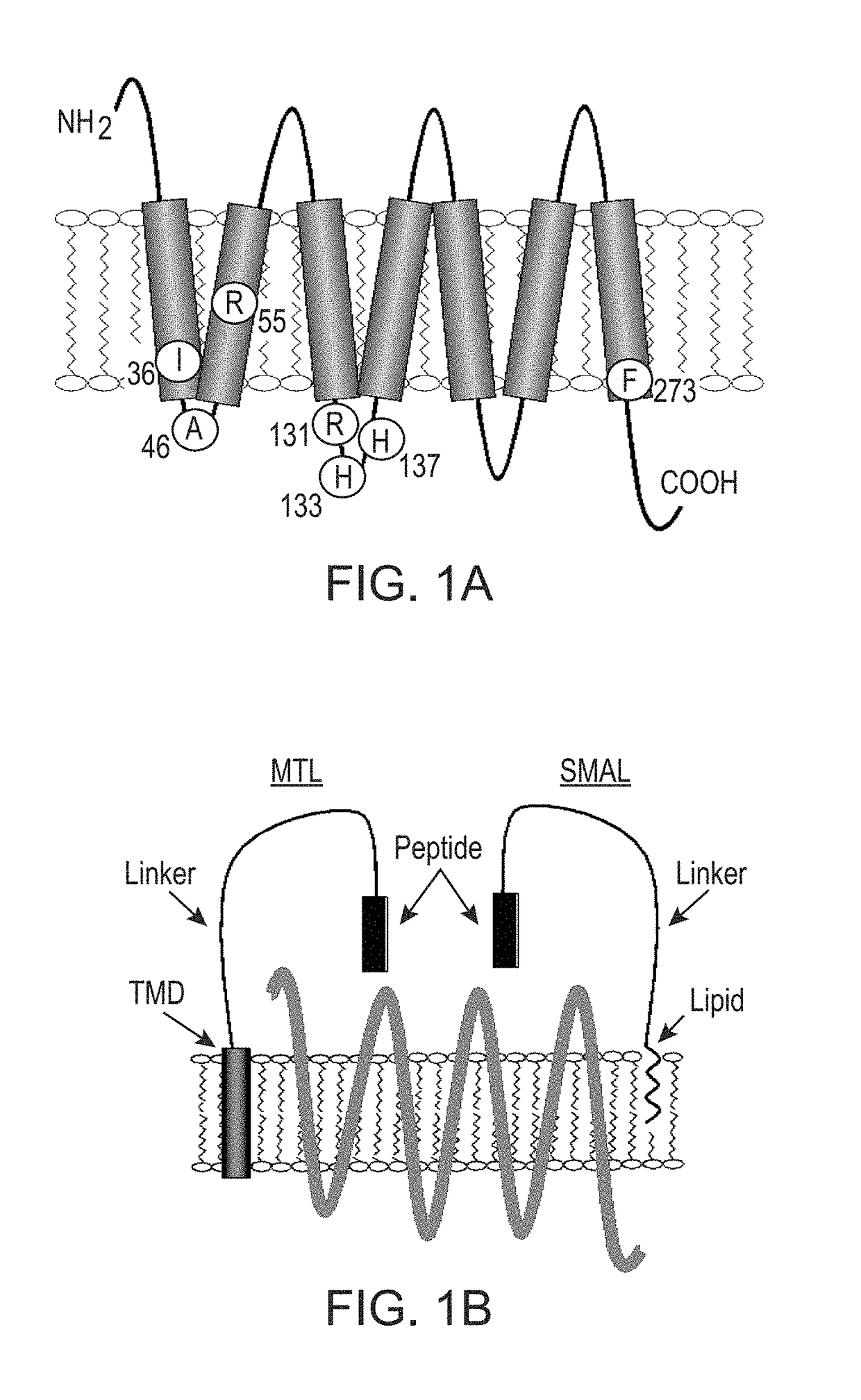 Compounds and methods for treating pain