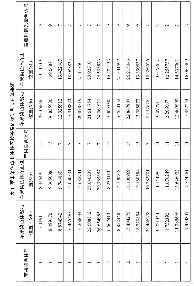 Method for constructing rosaceae original chromosome