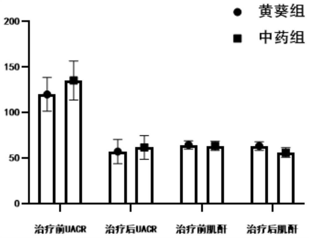 Traditional Chinese medicine composition for treating diabetic nephropathy