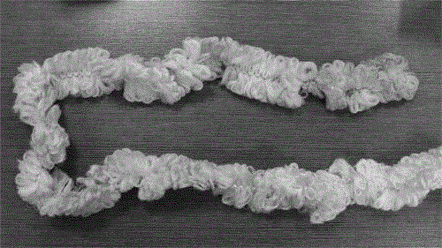 Aquaculture water in-situ purification composite microbial membrane and using method thereof