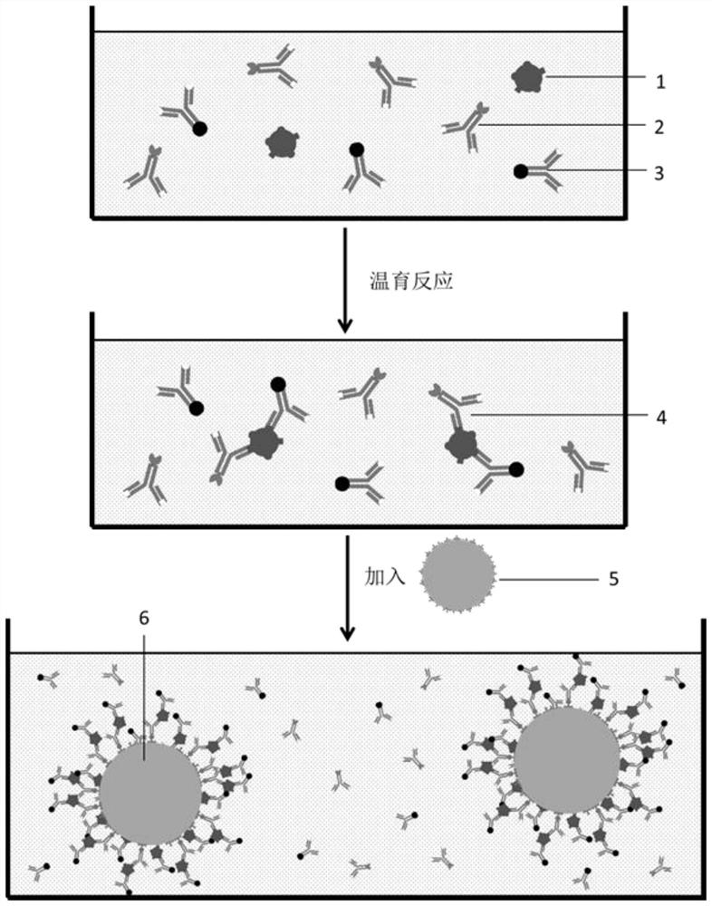 A double-pulse detection method of immune response based on mass spectrometry