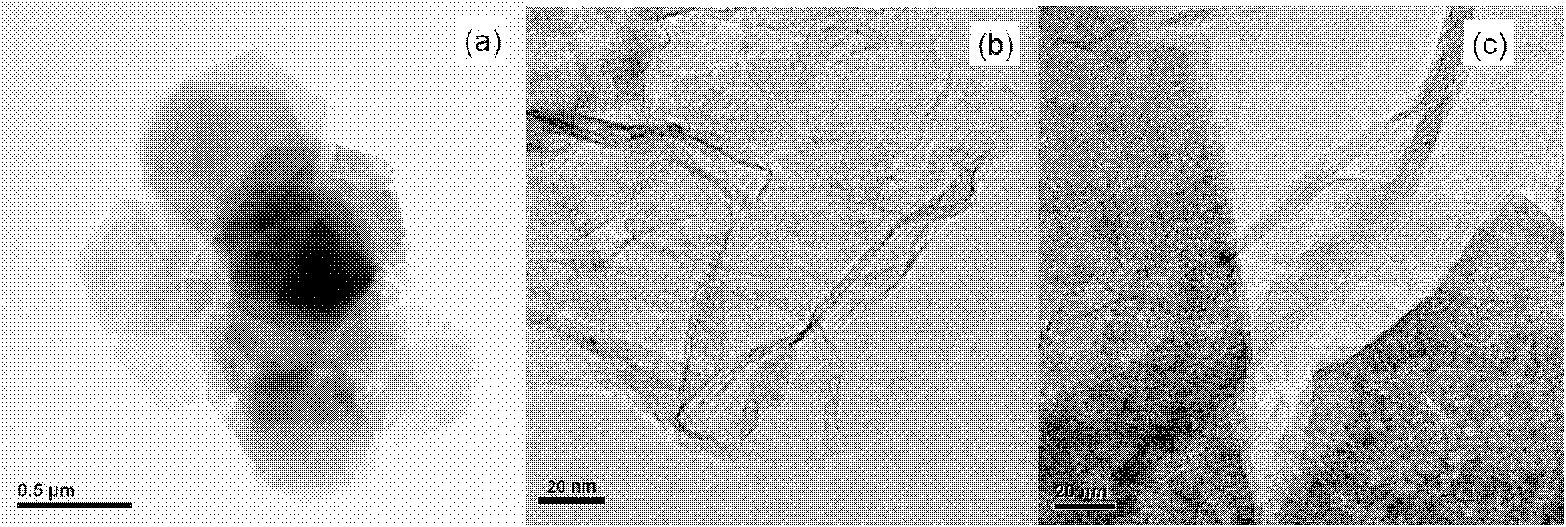 Composite anode material of graphene nanoflakes and cobalt hydroxide for lithium ion battery and preparation method thereof