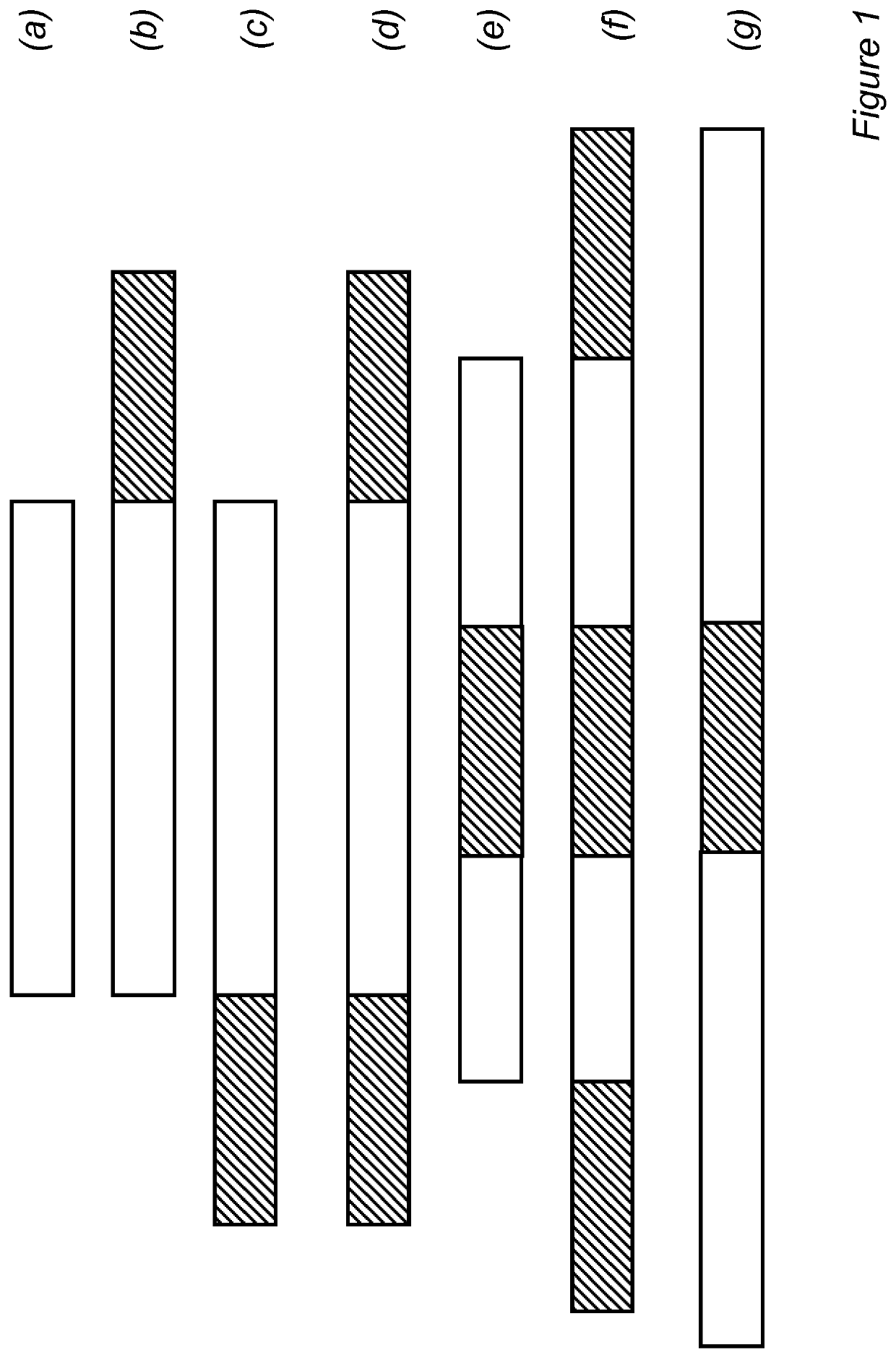 Fusion protein with half-life extending polypeptide