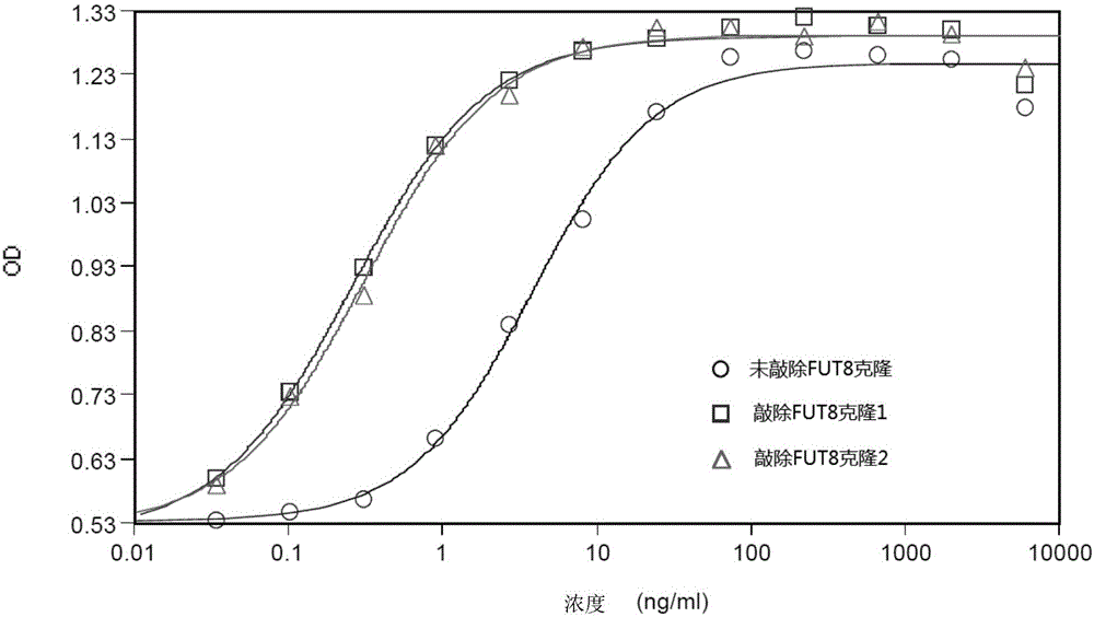 FUT8 gene knockout method based on CRISPR technology