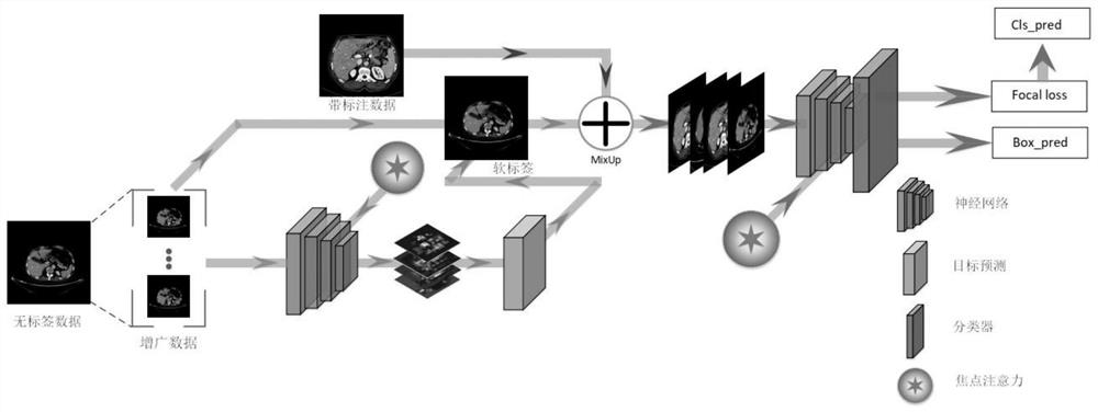 Semi-supervised learning-based portal vein detection and positioning method and system