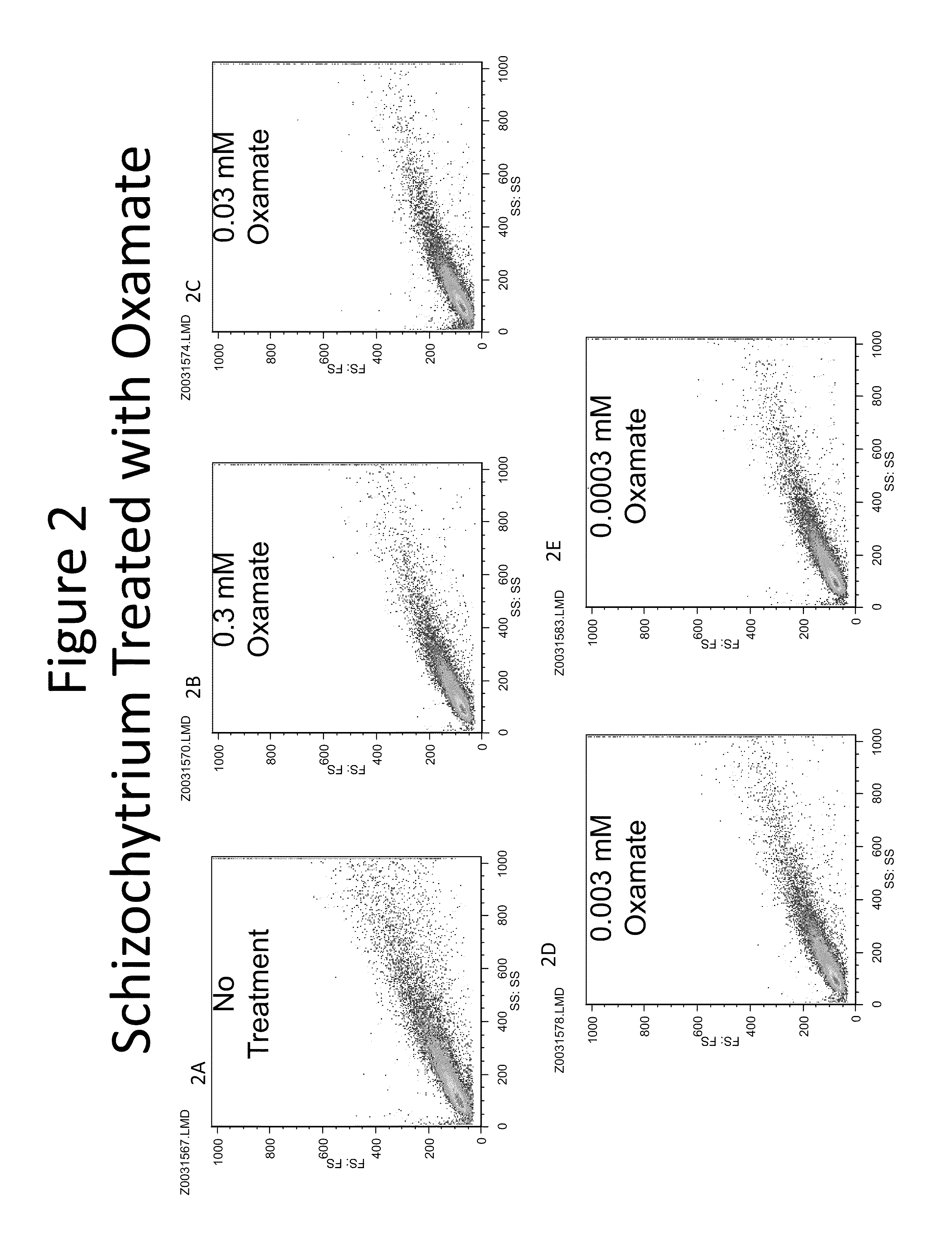 Compositions and methods for promoting fatty acid production in plants
