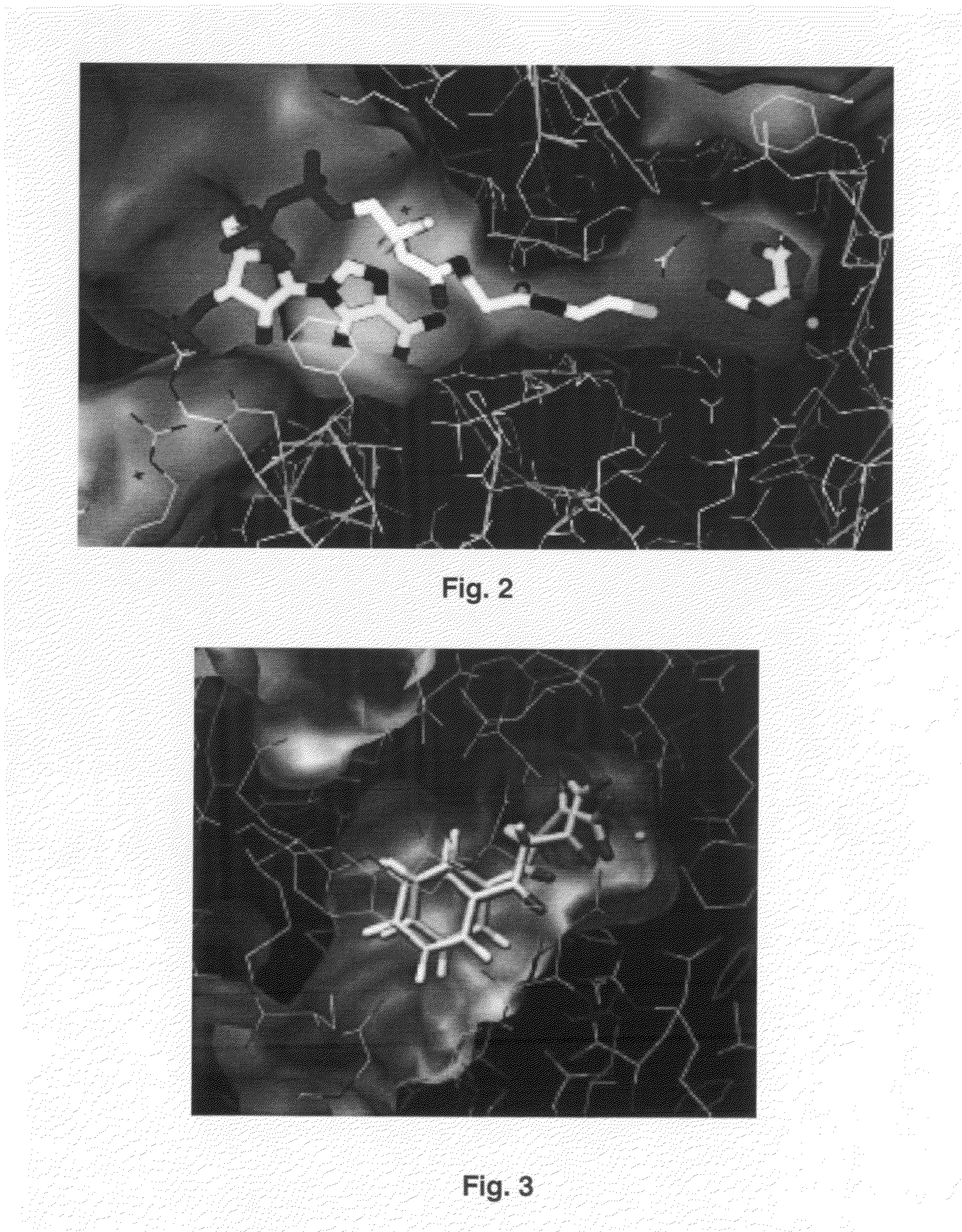 Inhibitors of mycobacterium tuberculosis malate synthase, methods of making and uses thereof