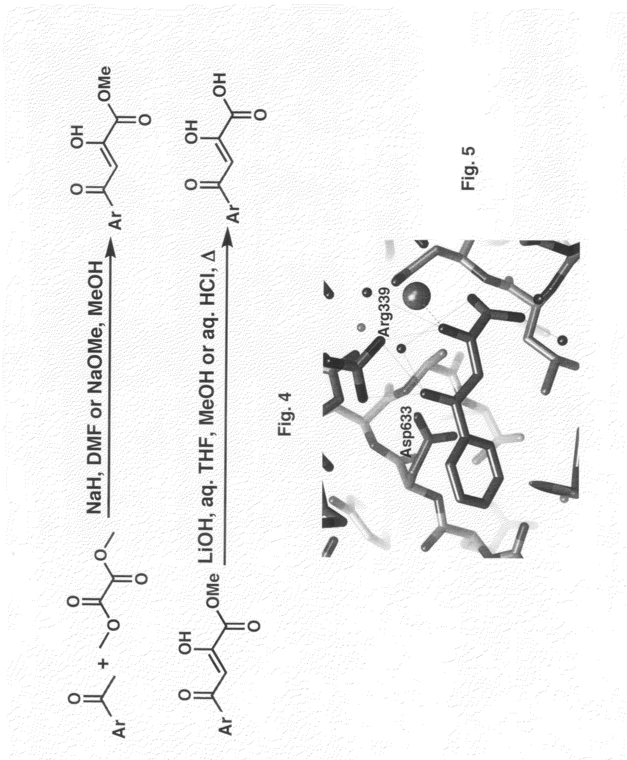 Inhibitors of mycobacterium tuberculosis malate synthase, methods of making and uses thereof