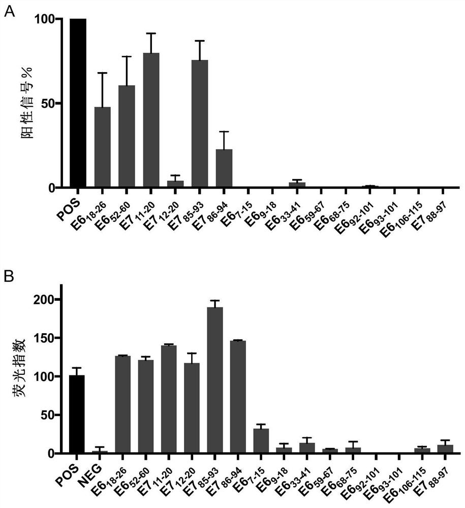 Tumor neoantigen polypeptide and application thereof