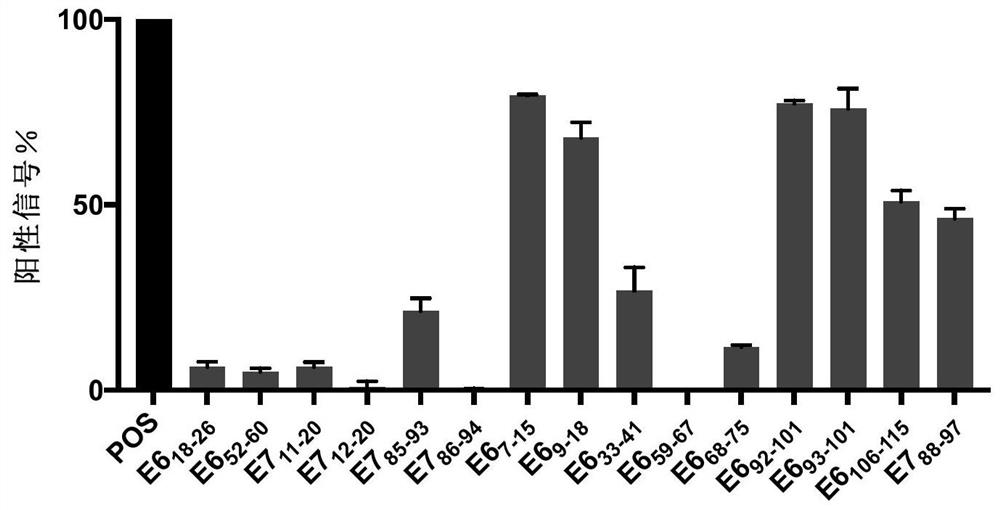 Tumor neoantigen polypeptide and application thereof