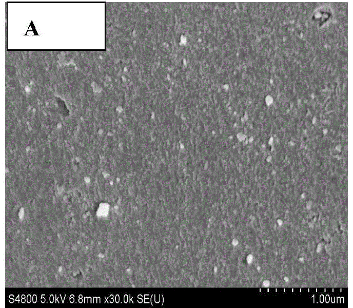 Silica gel surface molecularly imprinted polymer with specific adsorption of DEHP and preparation method and application thereof