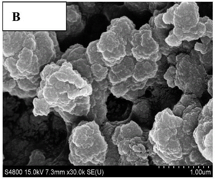 Silica gel surface molecularly imprinted polymer with specific adsorption of DEHP and preparation method and application thereof