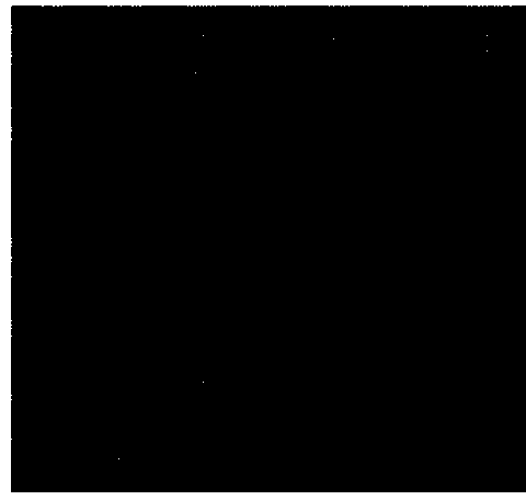 Establishment method of human rotavirus induced pathological damage and diarrhoea suckling mouse animal models