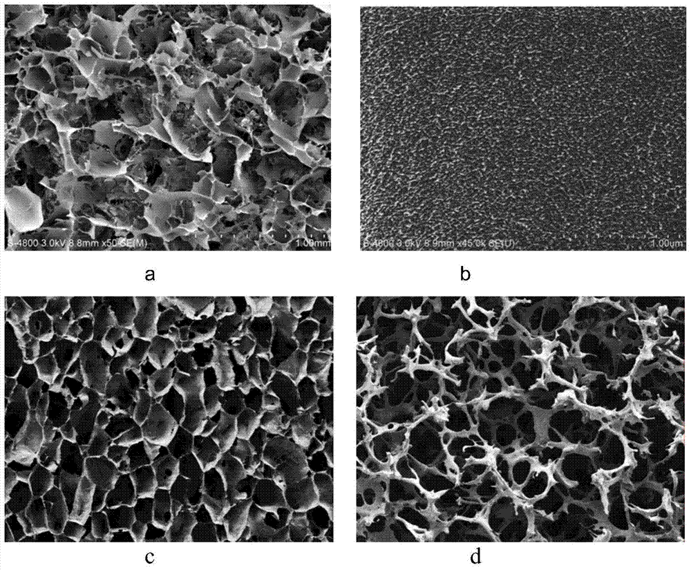 Silk protein scaffold material and preparation method thereof