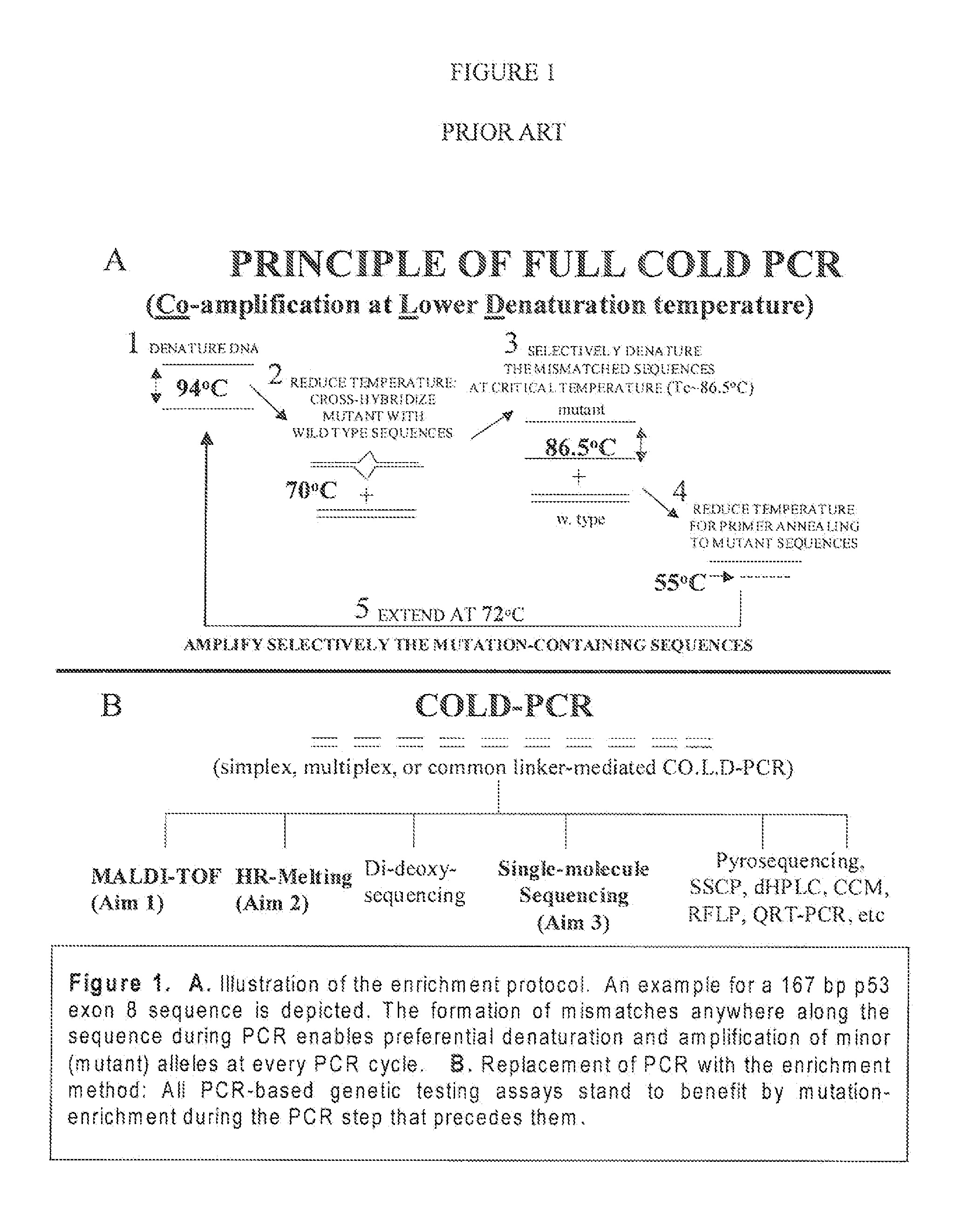 Step-up method for cold-pcr enrichment