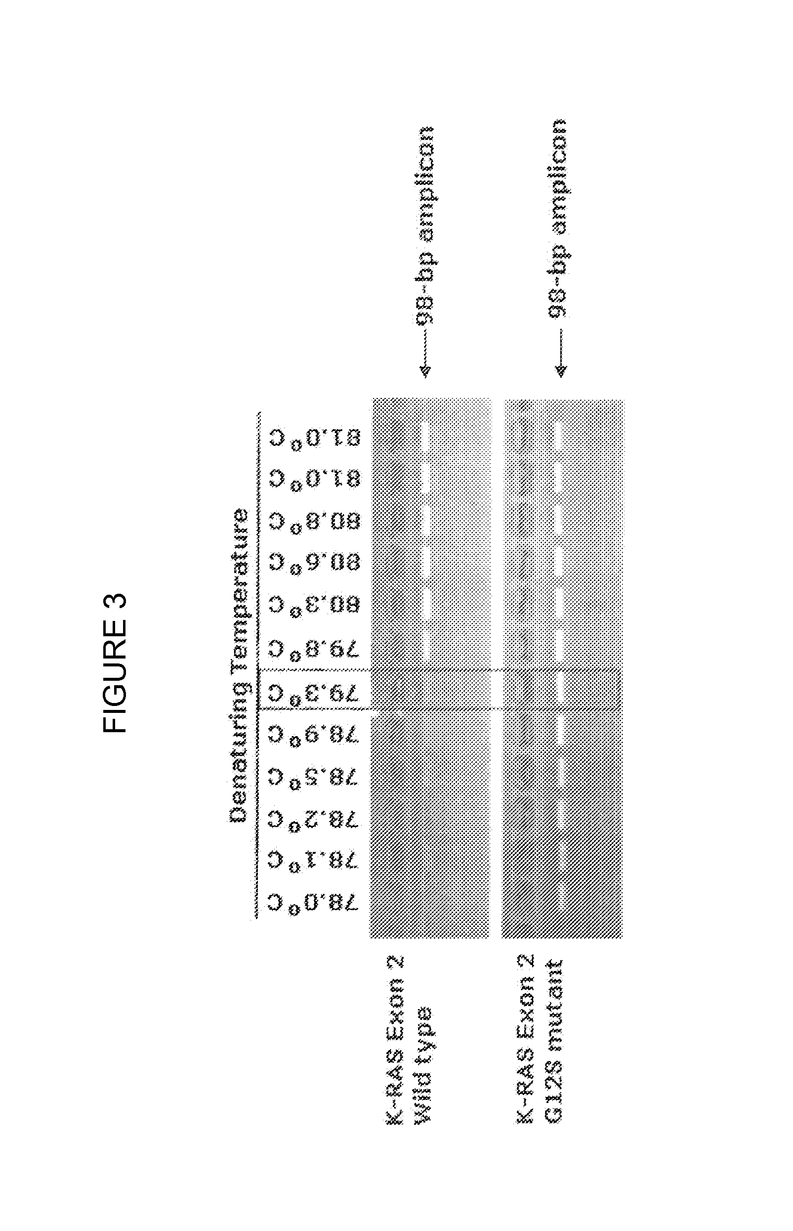 Step-up method for cold-pcr enrichment