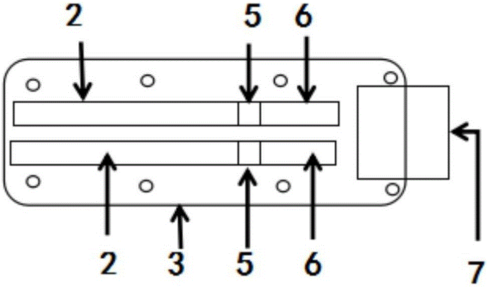 Rapid blood typing detection card