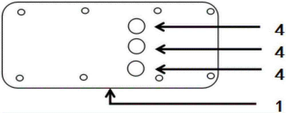 Rapid blood typing detection card