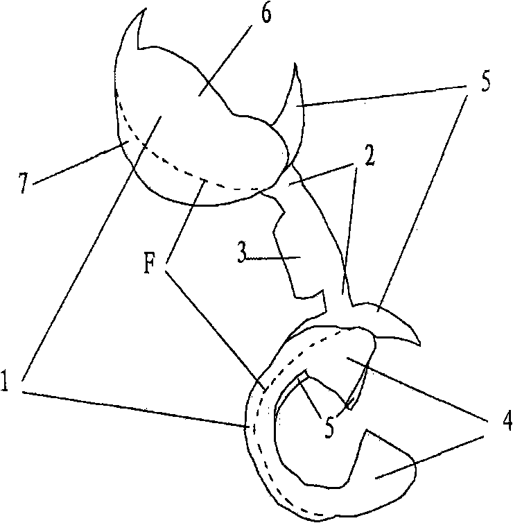 Split tooth prosthesis for fixing and repairing deficient toot and production method thereof