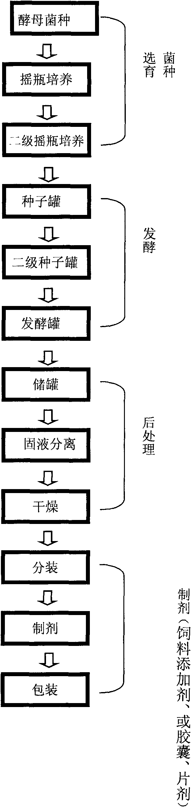 Zinc-rich yeast with high biomass, breeding selection method and application thereof