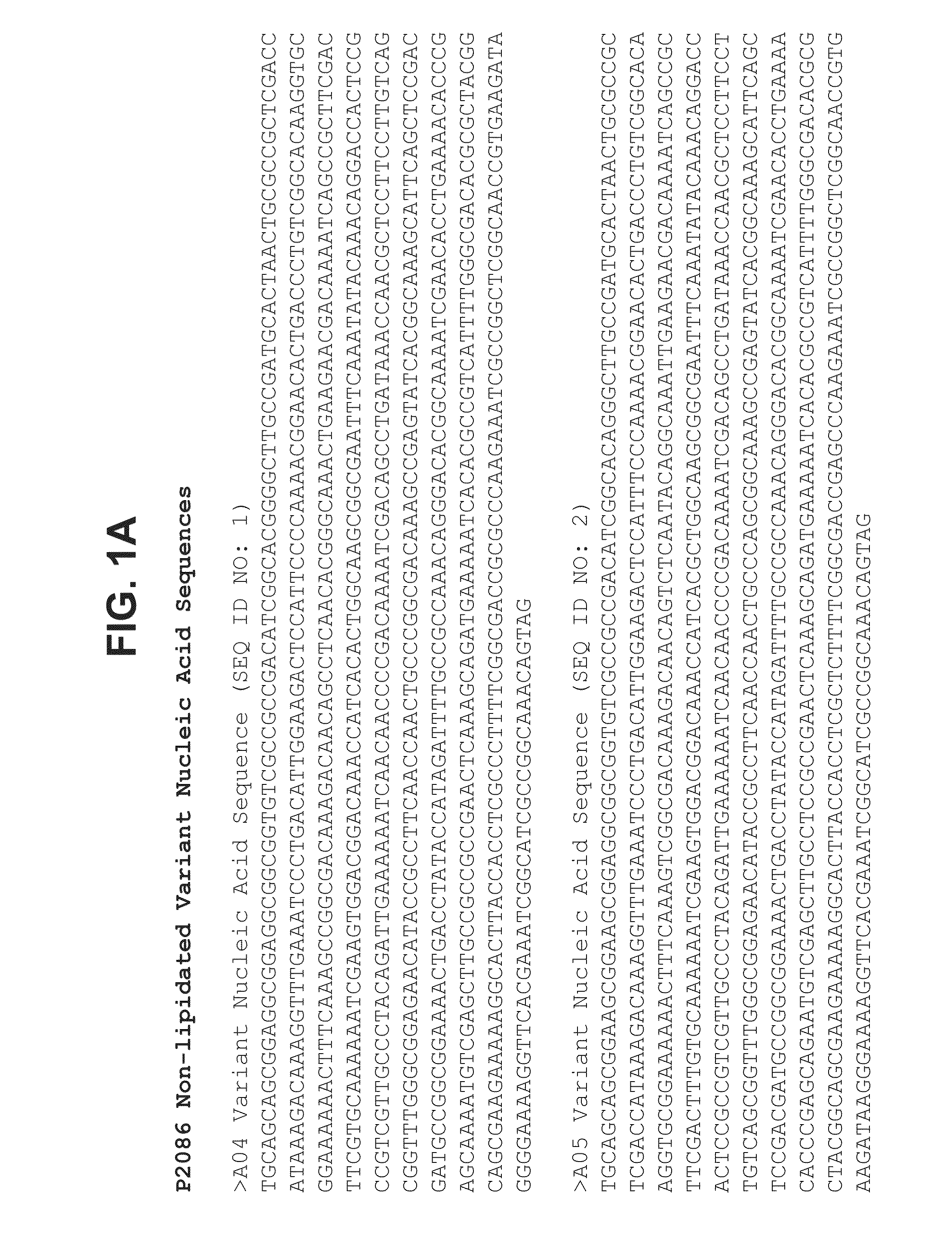 <i>Neisseria meningitidis </i>compositions and methods thereof