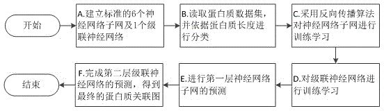 Method for predicting protein association graphs on basis of cascade neural network structures