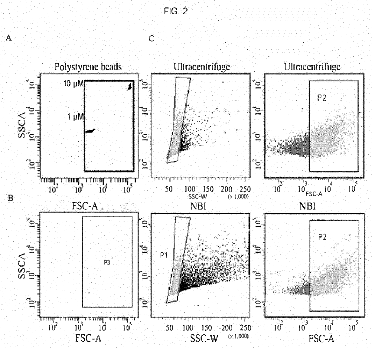 Method and stationary phase for isolating extracellular vesicles from biological material