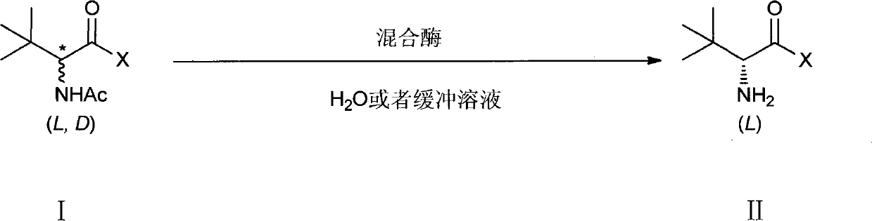 Method for preparing L-tertiary leucine compound by two enzyme system