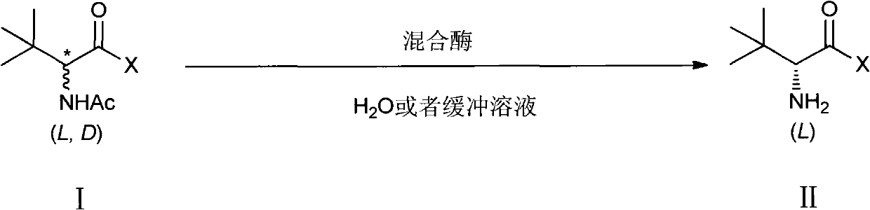 Method for preparing L-tertiary leucine compound by two enzyme system