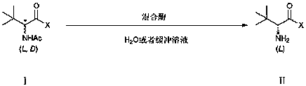 Method for preparing L-tertiary leucine compound by two enzyme system