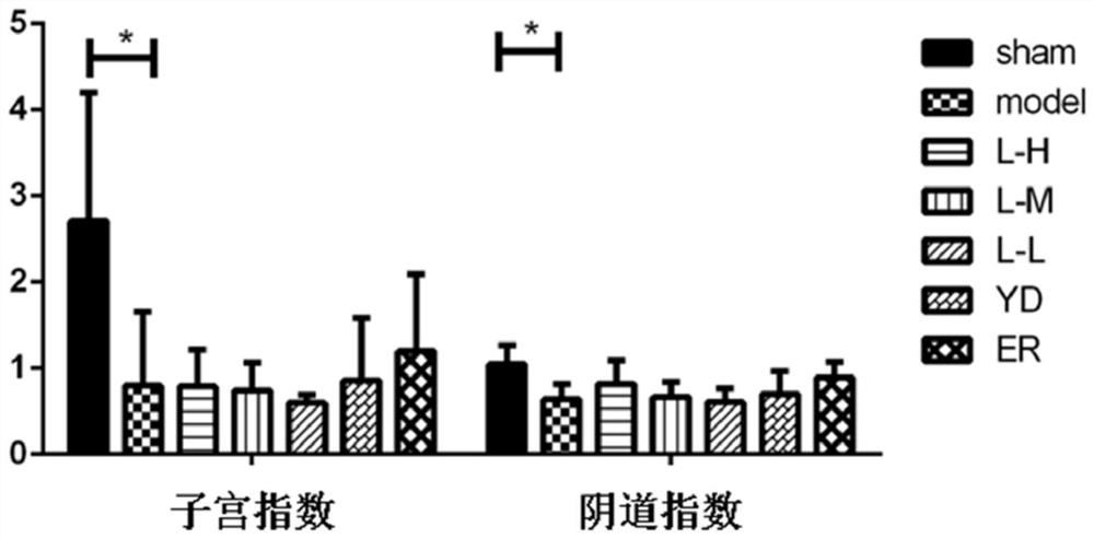 Application of traditional Chinese medicine composition in preparation of medicine for preventing and/or treating atrophic vaginitis