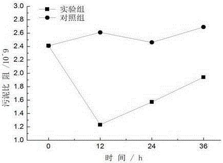 Biological wall-breaking method for improving sludge dewatering performance