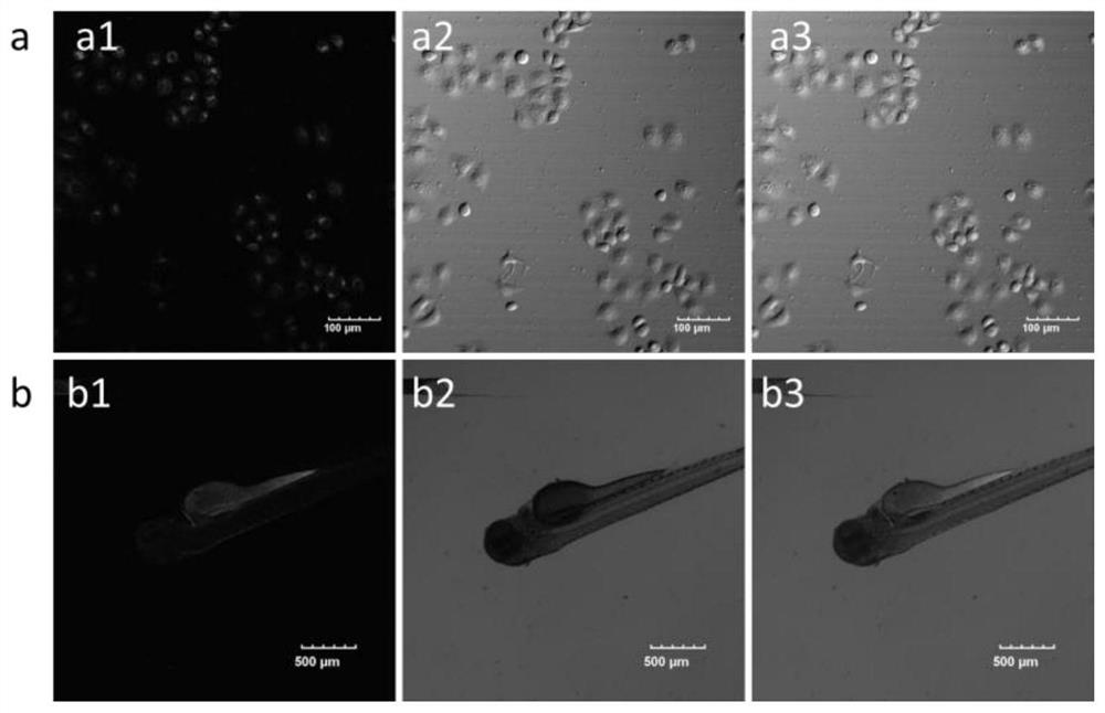 A kind of near-infrared two-photon photosensitizing dye sbopi and its preparation method and application